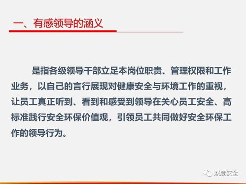 精品PPT 落实直线组织安全管理 有感领导 直线责任 属地管理